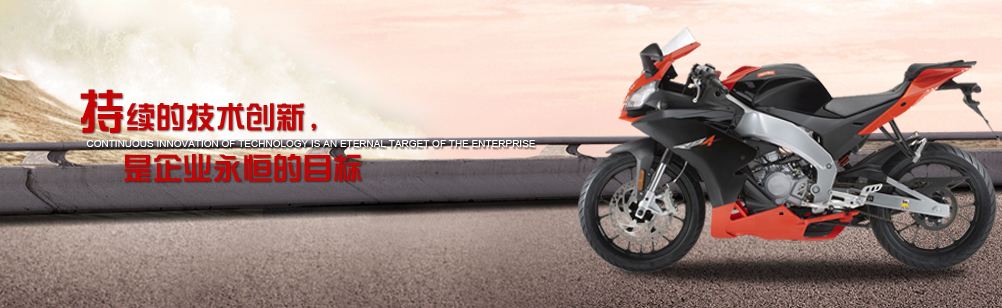 山東宸隆重工機械有限公司